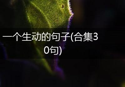 一个生动的句子(合集30句)