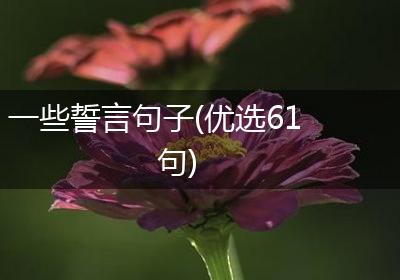 一些誓言句子(优选61句)