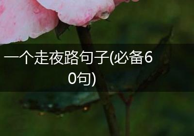 一个走夜路句子(必备60句)