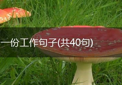 一份工作句子(共40句)