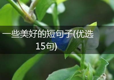 一些美好的短句子(优选15句)