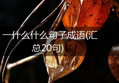 一什么什么句子成语(汇总20句)