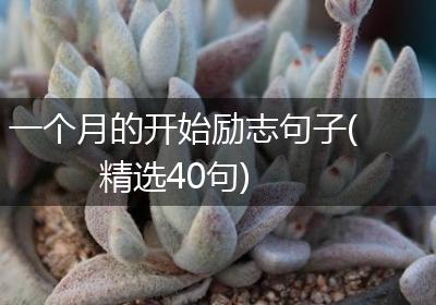 一个月的开始励志句子(精选40句)