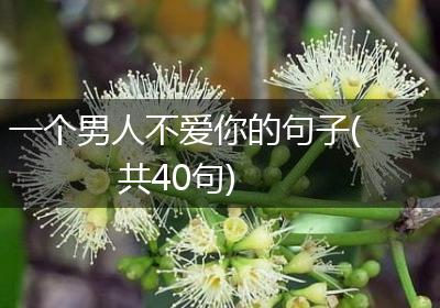 一个男人不爱你的句子(共40句)