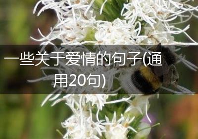 一些关于爱情的句子(通用20句)