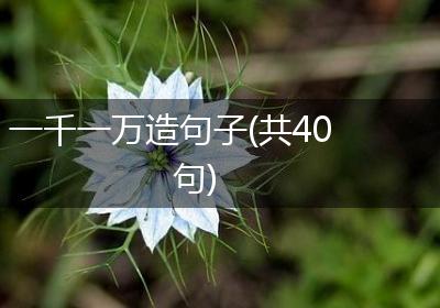 一千一万造句子(共40句)