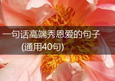 一句话高端秀恩爱的句子(通用40句)
