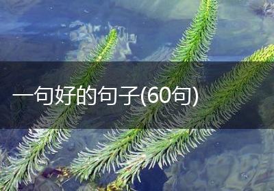 一句好的句子(60句)
