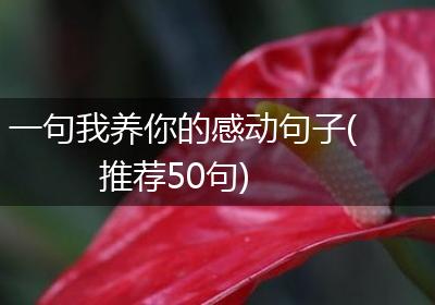 一句我养你的感动句子(推荐50句)