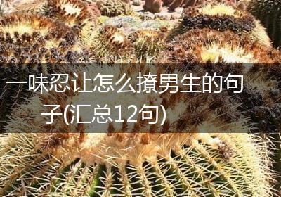 一味忍让怎么撩男生的句子(汇总12句)