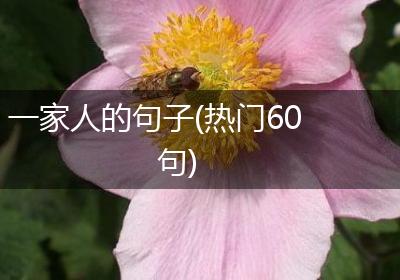 一家人的句子(热门60句)