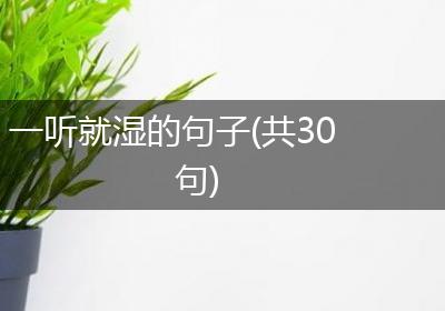 一听就湿的句子(共30句)