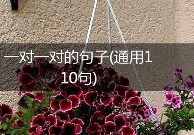 一对一对的句子(通用110句)