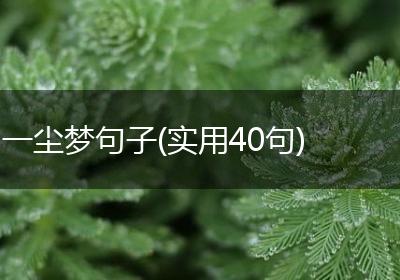 一尘梦句子(实用40句)