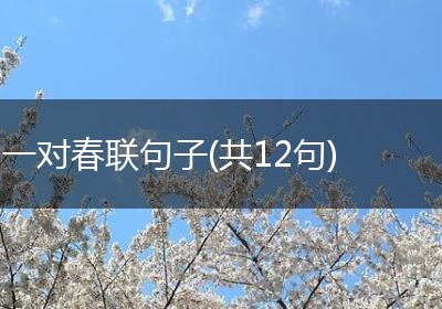 一对春联句子(共12句)