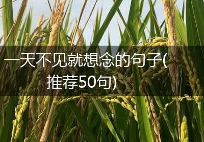 一天不见就想念的句子(推荐50句)