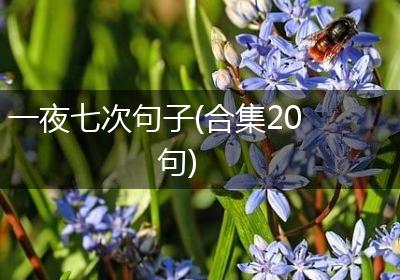 一夜七次句子(合集20句)