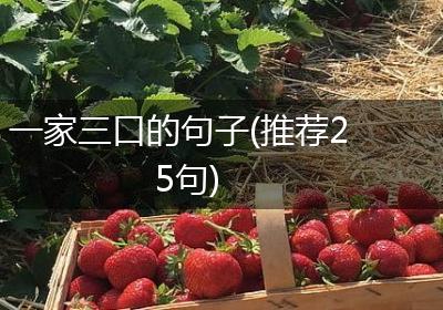 一家三口的句子(推荐25句)