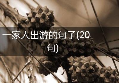 一家人出游的句子(20句)