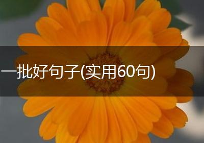一批好句子(实用60句)