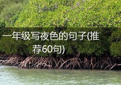一年级写夜色的句子(推荐60句)