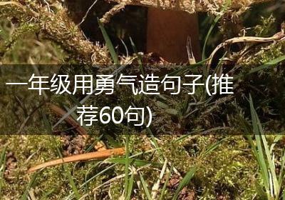 一年级用勇气造句子(推荐60句)