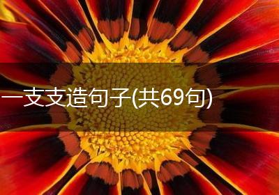 一支支造句子(共69句)
