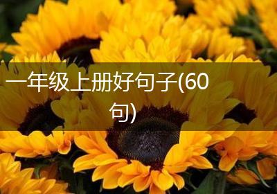 一年级上册好句子(60句)