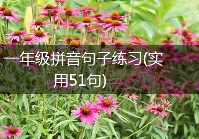 一年级拼音句子练习(实用51句)