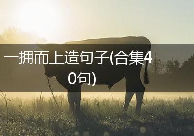 一拥而上造句子(合集40句)