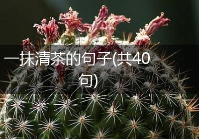 一抹清茶的句子(共40句)