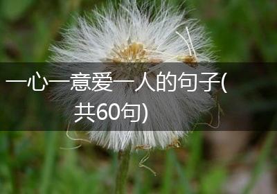 一心一意爱一人的句子(共60句)
