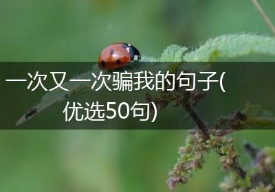 一次又一次骗我的句子(优选50句)