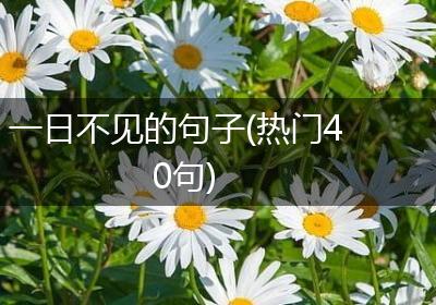 一日不见的句子(热门40句)