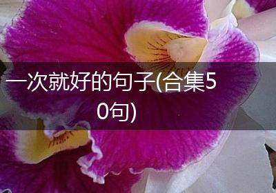 一次就好的句子(合集50句)