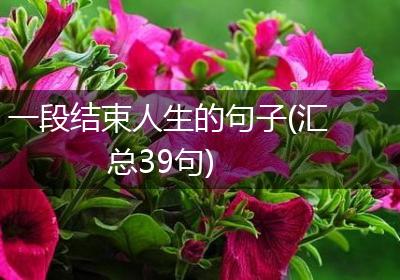 一段结束人生的句子(汇总39句)