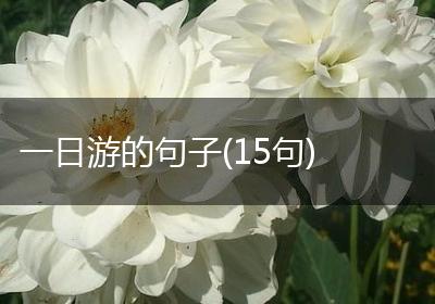 一日游的句子(15句)