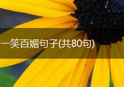 一笑百媚句子(共80句)