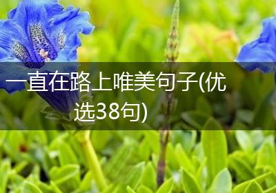 一直在路上唯美句子(优选38句)