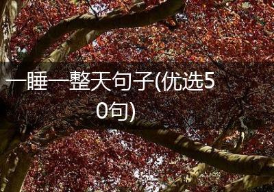 一睡一整天句子(优选50句)