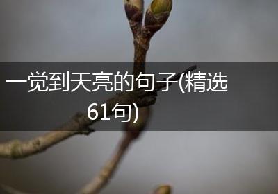 一觉到天亮的句子(精选61句)
