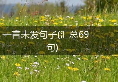 一言未发句子(汇总69句)