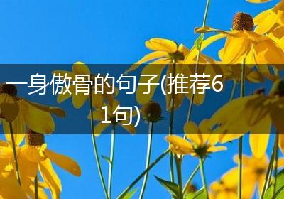 一身傲骨的句子(推荐61句)
