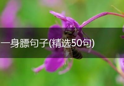 一身膘句子(精选50句)
