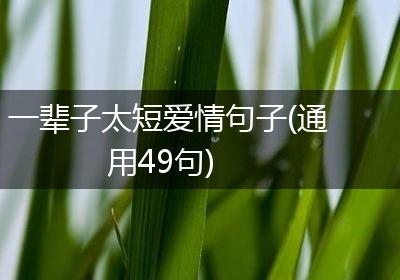 一辈子太短爱情句子(通用49句)