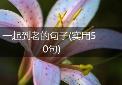 一起到老的句子(实用50句)