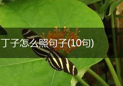 丁子怎么照句子(10句)