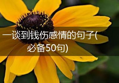 一谈到钱伤感情的句子(必备50句)
