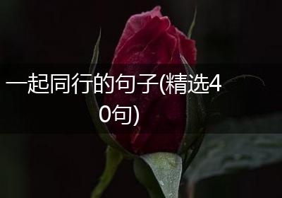一起同行的句子(精选40句)