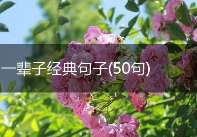 一辈子经典句子(50句)